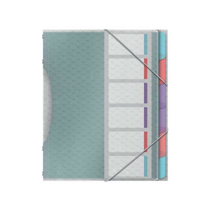 Esselte Colour'Breeze Clasificador con 6 Pestañas Multicolor - Para Formato A4 - 3 Solapas en la Contraportada - Polpropileno