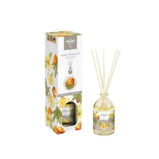 Prady Ambientador Mikado Oriental Journey - Frasco de Cristal 100 ml y Varitas Difusoras