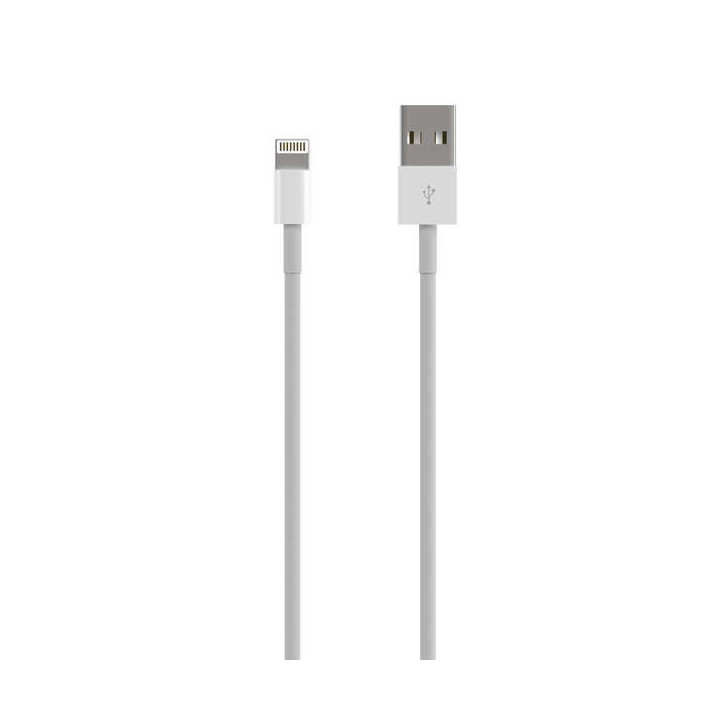 Aisens Cable Lightning a USB 2.0