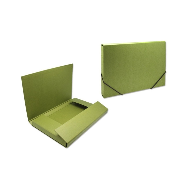 Bismark Carpeta para Proyectos - Medidas 350x230x30mm - Fabricada en Carton - Cierre con Gomas - Color Verde
