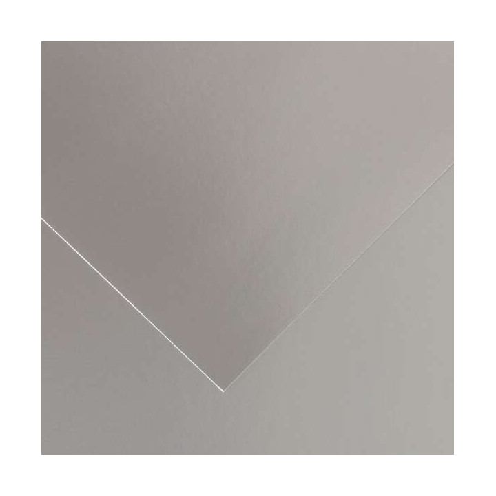 Canson Guarro Pack de 25 Cartulinas Iris de 185g - 50x65cm - Color Plata