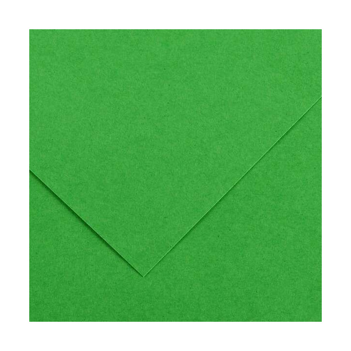 Canson Guarro Pack de 25 Cartulinas Iris de 185g - 50x65cm - Color Verde Billar