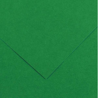 Canson Guarro Pack de 25 Cartulinas Iris de 185g - 50x65cm - Color Verde Abeto