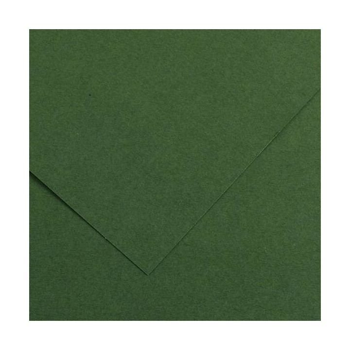 Canson Guarro Pack de 25 Cartulinas Iris de 185g - 50x65cm - Color Verde Amazonas