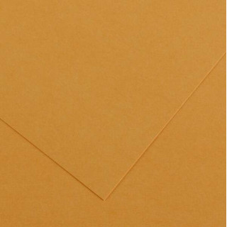 Canson Guarro Pack de 25 Cartulinas Iris de 185g - 50x65cm - Color Cuero