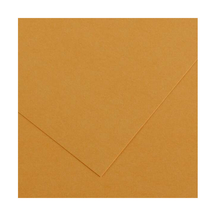 Canson Guarro Pack de 25 Cartulinas Iris de 185g - 50x65cm - Color Cuero