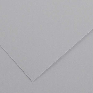 Canson Guarro Pack de 25 Cartulinas Iris de 185g - 50x65cm - Color Gris Perla