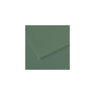 Canson Mi-Teintes Pack de 10 Hojas 160 g/m² - Tamaño 50 x 65cm - Doble Cara Grano Nido de Abeja y Grano Fino - Certificado FS