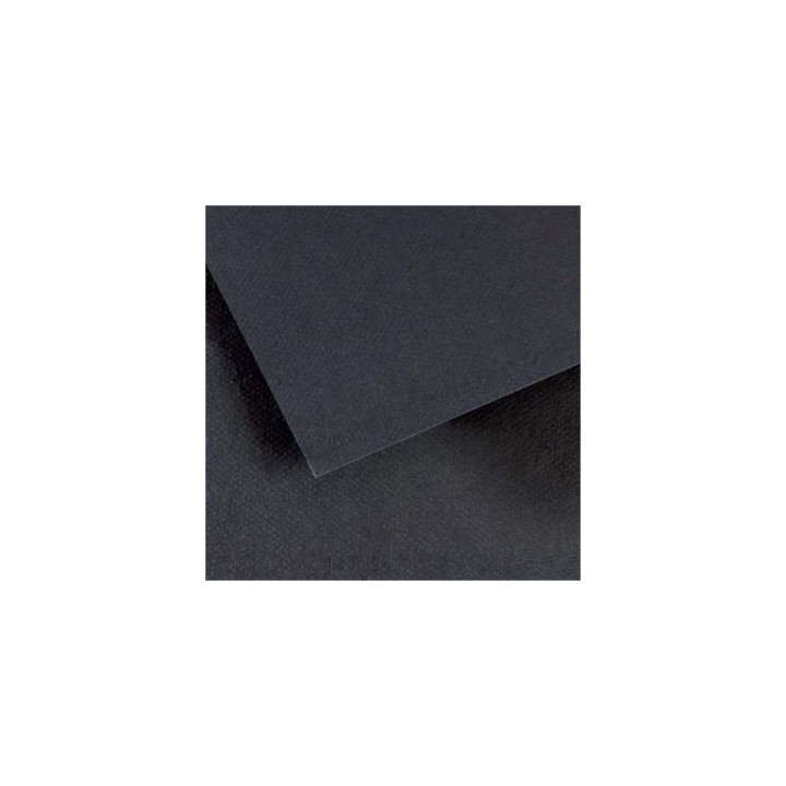 Canson Mi-Teintes Pack de 10 Hojas 160 g/m² - Tamaño 50 x 65cm - Doble Cara Grano Nido de Abeja y Grano Fino - Certificado FS