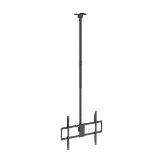 Aisens Soporte de Techo Pro Giratorio - Inclinable