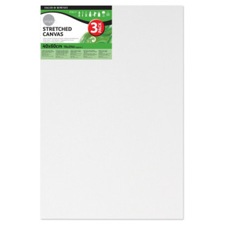 Daler Rowney Simply Pack de 3 Bastidores Entelados- 40x60cm - Imprimacion Triple - Grano Medio - 100% Algodon sin Acido - 250g