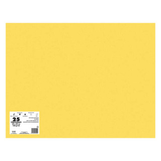 Dohe Pack de 25 Cartulinas de 180 G/M2 - Tamaño 50x65cm - PH Neutro - Libres de Cloro Elemental - Colorantes Biodegradables -