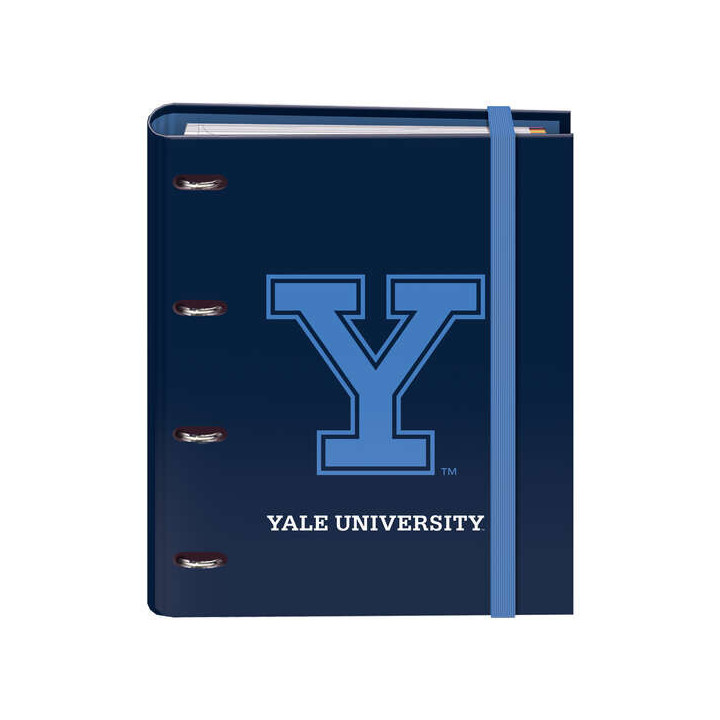 Dohe Cuaderno de Carton Forrado - 35mm - 100 Hojas Offset 90g - Cuadricula 5mm - 4 Separadores Polipropileno - Sobre Transparen