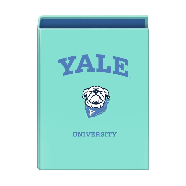 Dohe Yale Dog Carpeta de 4 Anillas Mixtas de 40mm - Formato Folio - Cubierta en Carton Forrado Plastificado