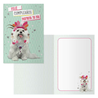 Dohe Pack de 6 Tarjetas de Felicitacion de Cumpleaños - 11.5x17cm - Impresion a Todo Color - Estampaciones con Pelicula de Col