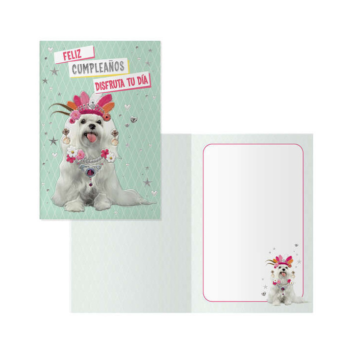 Dohe Pack de 6 Tarjetas de Felicitacion de Cumpleaños - 11.5x17cm - Impresion a Todo Color - Estampaciones con Pelicula de Col