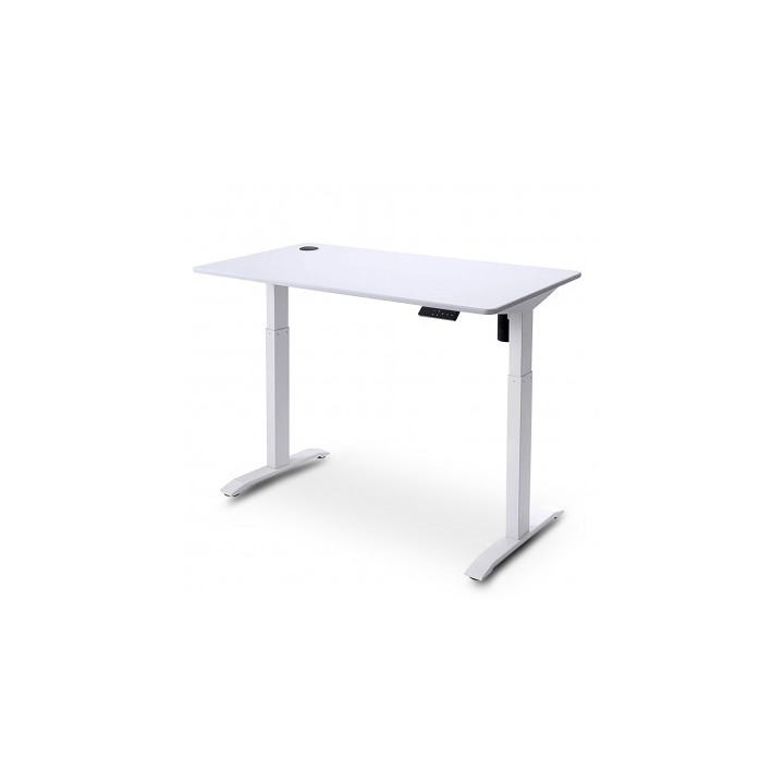 Urban Factory Ergo Mesa Escritorio Electrica Ajustable en Altura 750-1200mm - Pantalla con Indicacion de Altura - Memoria de 4