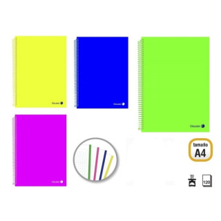 Golden Pack de 4 Cuadernos A4 120 Hojas 90gr Cuadricula 5x5 - Hojas Microperforadas con Banda de Color y 4 Taladros - Tapa Poli