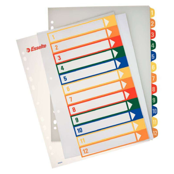 Esselte Indice para Proyectos Imprimible A4 Maxi Tipo 1-12 Multicolor - Multitaladro - Material PP Rigido 300 Micras