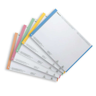 Elba Bristol Hoja 10 Etiquetas para Carpeta Colgante N°0 - Resistente - Tamaño Adecuado - Colores Surtidos