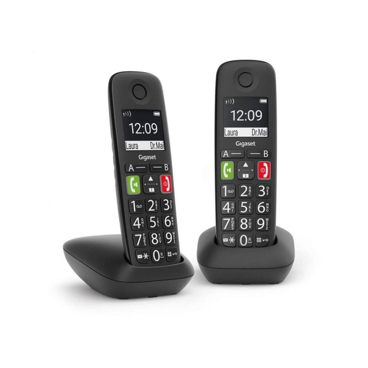 Gigaset E290 Duo Telefono Inalambrico Dect + 1 Supletorio - Pantalla Grande en B/N - Teclas con Numeros Grandes - Volumen con F