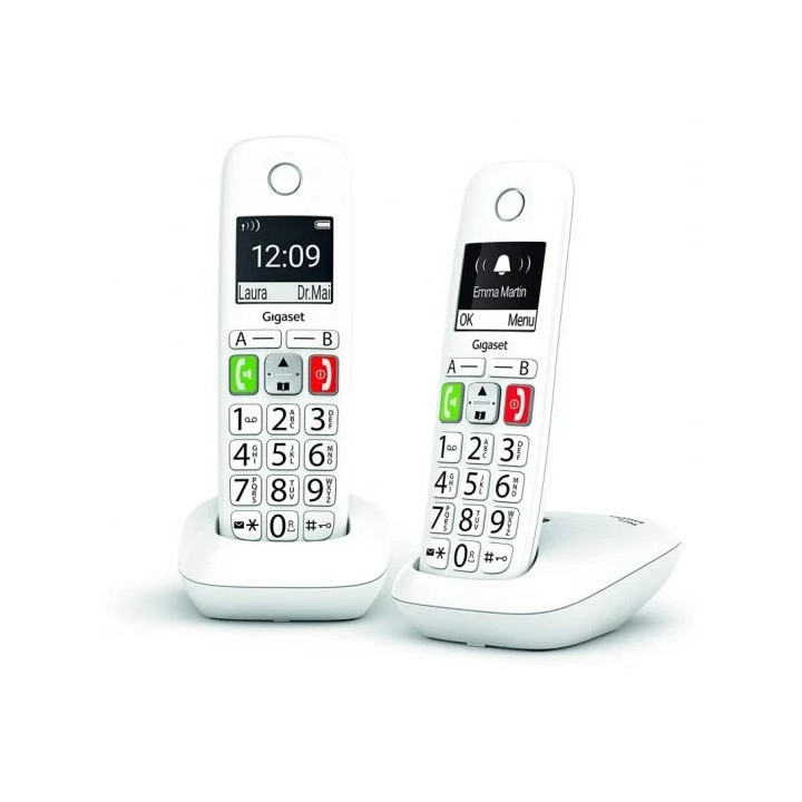Gigaset E290 Duo Telefono Inalambrico Dect + 1 Supletorio - Pantalla Grande en B/N - Teclas con Numeros Grandes - Volumen con F