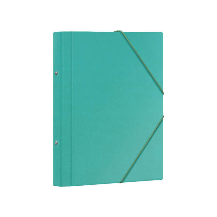 Dohe Carpeta Clasificadora 12 Departamentos - Formato Folio - Carton Plastificado - Cierre con Gomas - Color Verde Claro