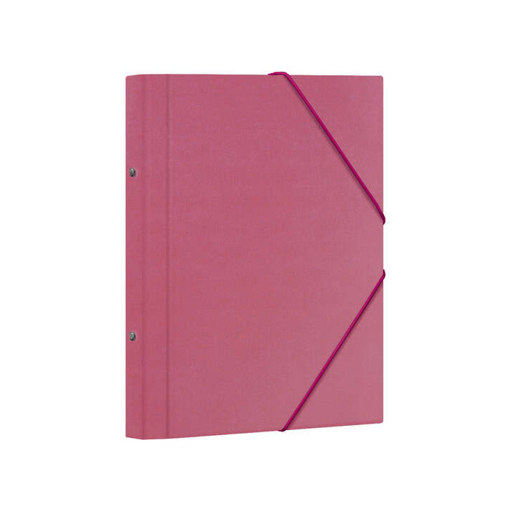 Dohe Carpeta Clasificadora 12 Departamentos - Formato Folio - Carton Plastificado - Cierre con Gomas - Color Rosa