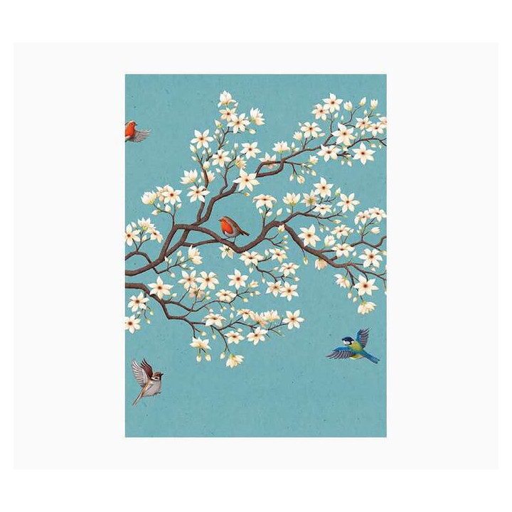 Pictura Cuaderno A5 - 15x21cm - 48 Paginas con Lineas - Papel con Certificacion FSC