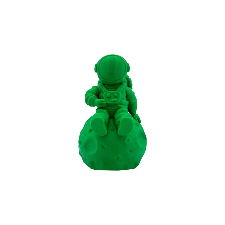 Filamento 3D PLA - Diametro 1.75mm - Bobina 1kg - Color Verde