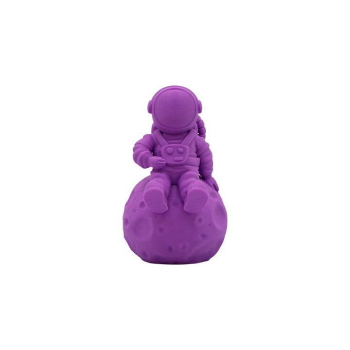 Filamento 3D PLA - Diametro 1.75mm - Bobina 1kg - Color Morado