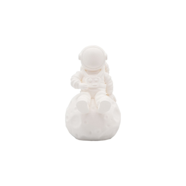 Filamento 3D PLA - Diametro 1.75mm - Bobina 1kg - Color Blanco