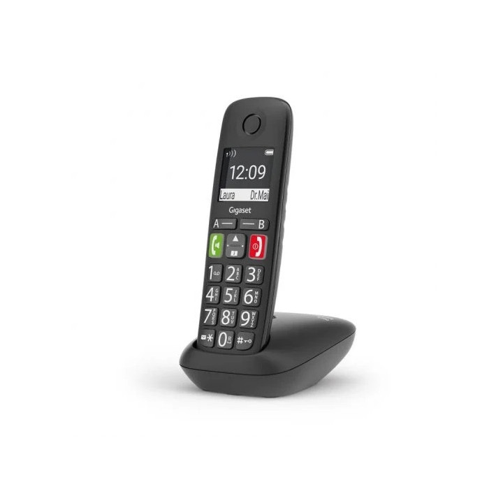 Gigaset E290 Telefono Inalambrico Dect - Pantalla Grande en B/N - Teclas con Numeros Grandes - Volumen con Funcion Amplificador