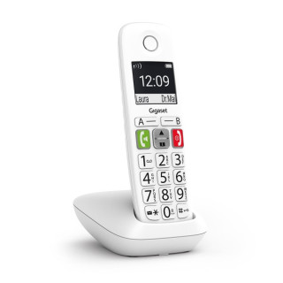 Gigaset E290 Telefono Inalambrico Dect - Pantalla Grande en B/N - Teclas con Numeros Grandes - Volumen con Funcion Amplificador