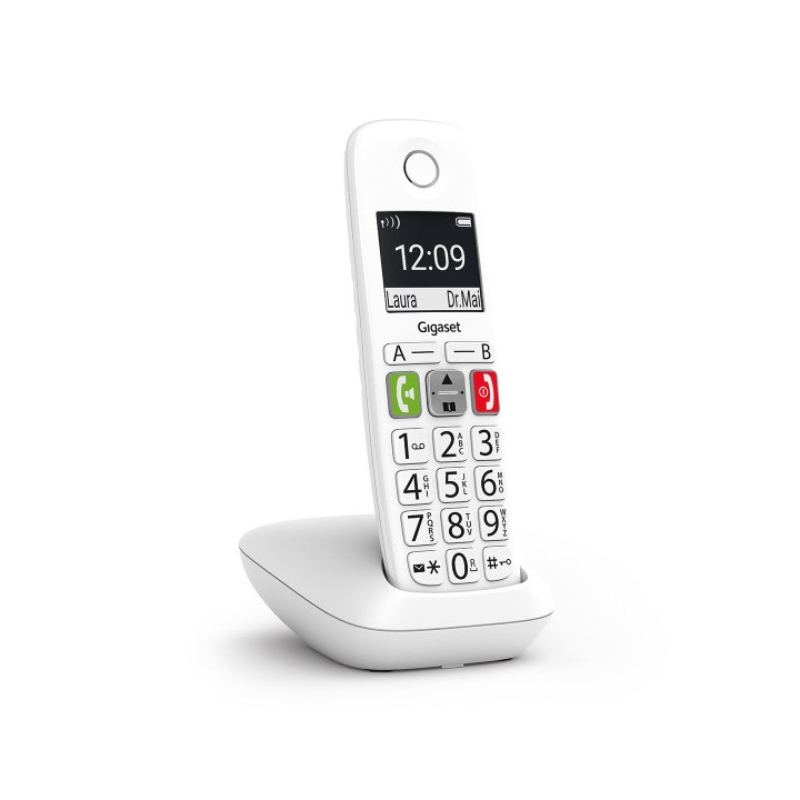 Gigaset E290 Telefono Inalambrico Dect - Pantalla Grande en B/N - Teclas con Numeros Grandes - Volumen con Funcion Amplificador