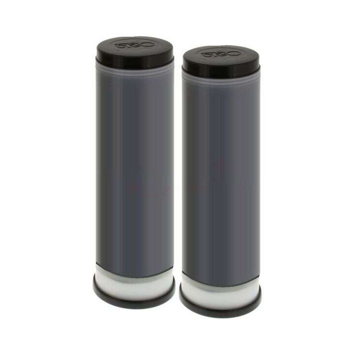 Riso S8113E Pack de 2 Cartuchos de Tinta Originales