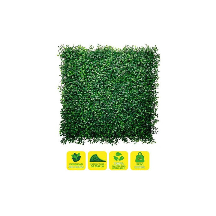 Sungarden Jardin Vertical Serie Floraria 50x50cm - Color Verde