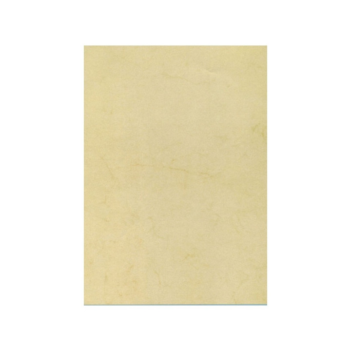 Apli Pack de 10 Hojas de Papel Textura Habana A4 - 200gr - Ideal para Invitaciones y Comunicaciones - Compatible con Impresoras