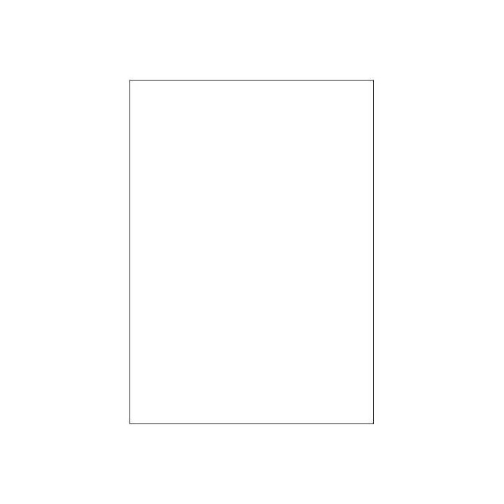 Caja 100 hojas etiquetas blancas sin márgenes-láser/inyección de tinta/fotocopiadoras-210x297 mm megastar lp4ms-210297