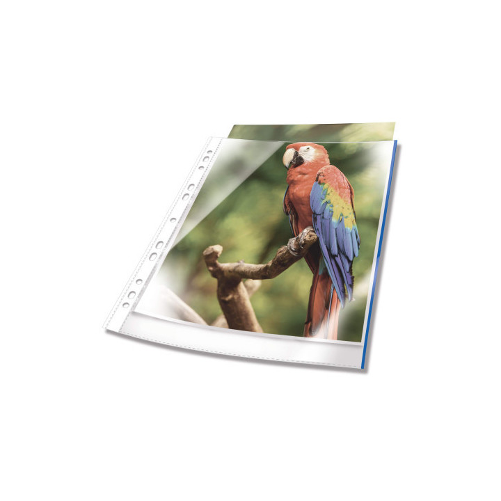 Bolsa 25 fundas multitaladro pp premium a4 cristalclear 80micras borde azul durable 265506