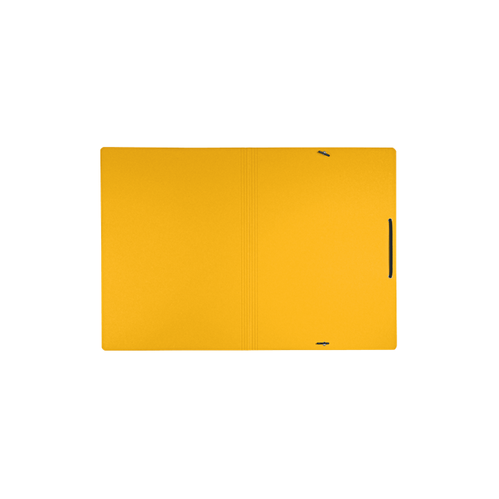 Carpeta de carton con gomas y sin solapas a4 recycle 100% amarillo leitz 39080015