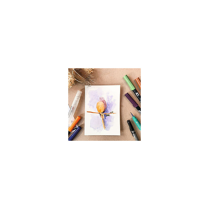 Set watercoloring nature tombow wcs-nat