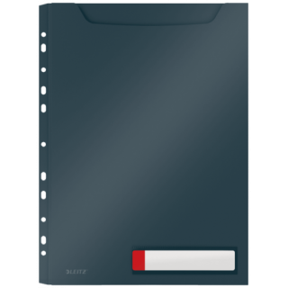 P-3 funda priv. cosy gran capacidad gris leitz 46680089