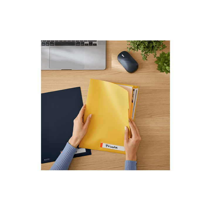 P-3 dossier priv. c/sep. cosy amarillo leitz 47160019