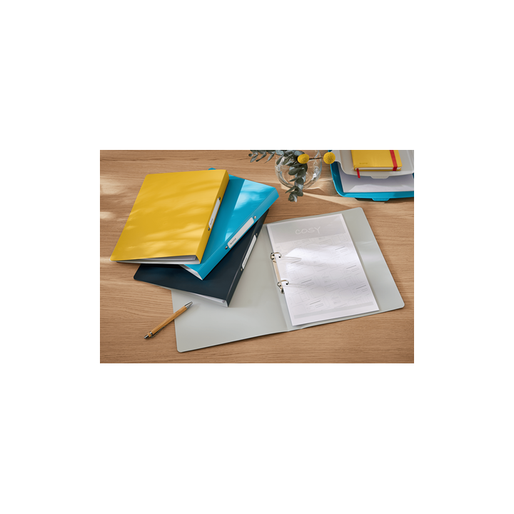 Carpeta 2 anillas active cosy amarillo leitz 42380019