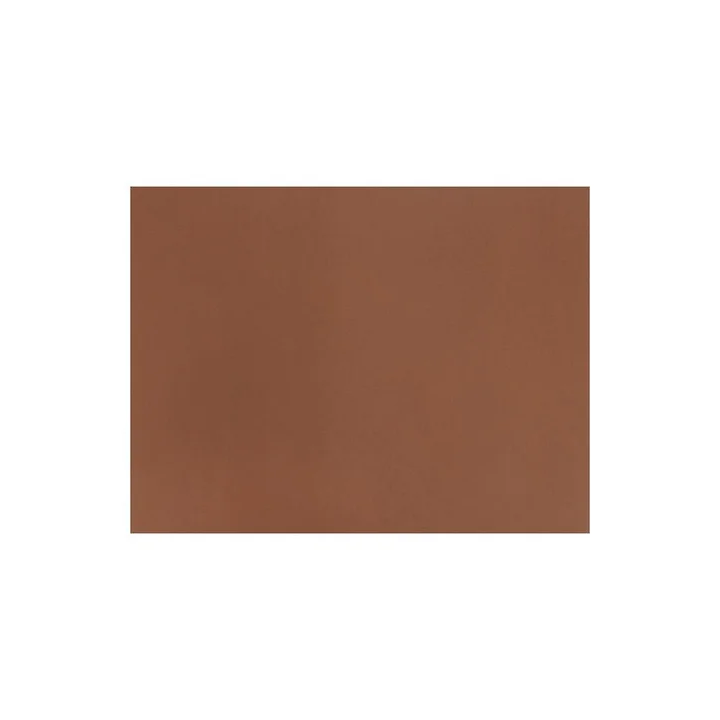 Bolsa 25 cartulinas 185 gr 50 x 65 cm marrón fabriano s3215627
