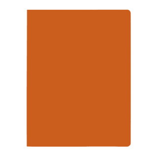 Subcarpeta simples intensas 250 grs folio color naranja gio 400040653