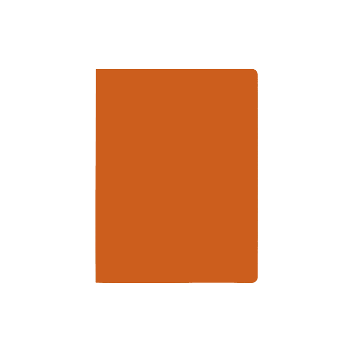 Subcarpeta simples intensas 250 grs folio color naranja gio 400040653