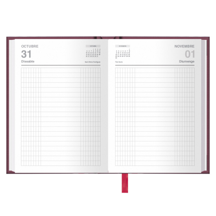 Dietario 2026 octavo día página 11