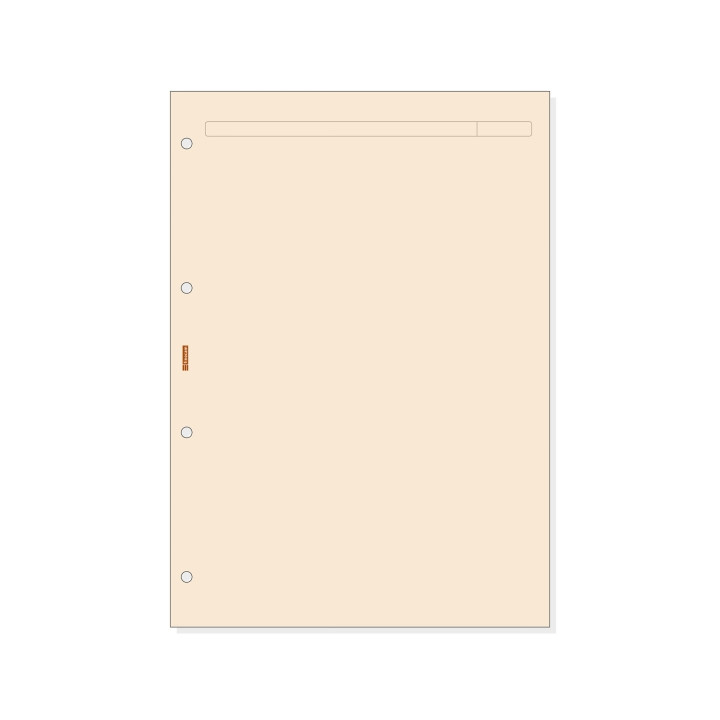Finocam R4043 Recambio para Agendas Open - Formato A4 - 210x5x297mm - Color Crema
